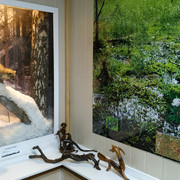 IMG-20191005-103754