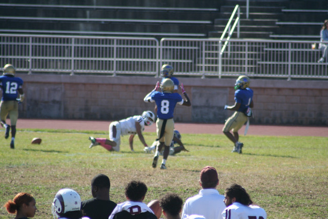 IMG-1264.jpg