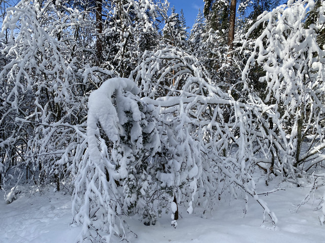 6-F78092-E-49-EA-4936-A924-12-C7-A1604-C