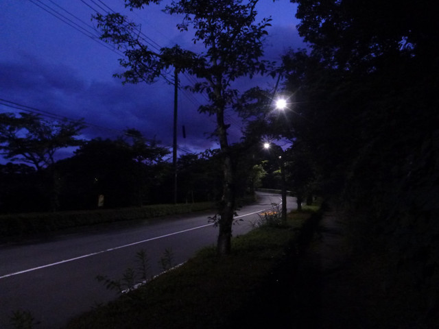 P1330528