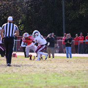IMG-0779