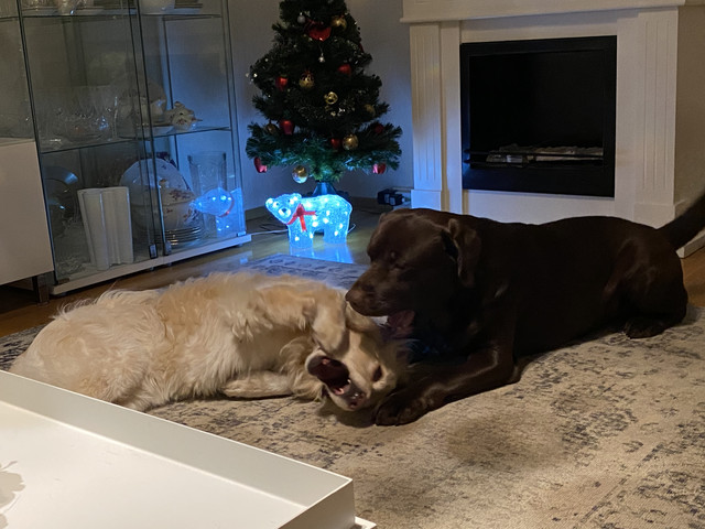 632-F699-E-63-B3-4-AC5-B903-C01-EF229050