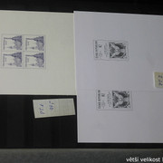 IMG-2384