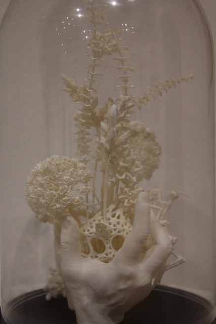 IMG-0152.jpg