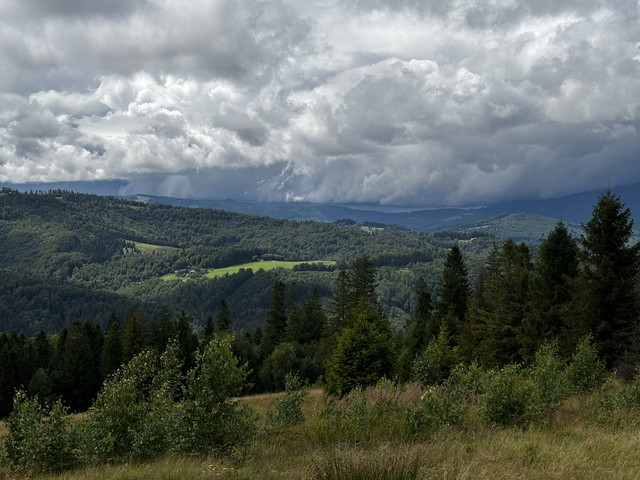 IMG 5214.jpg