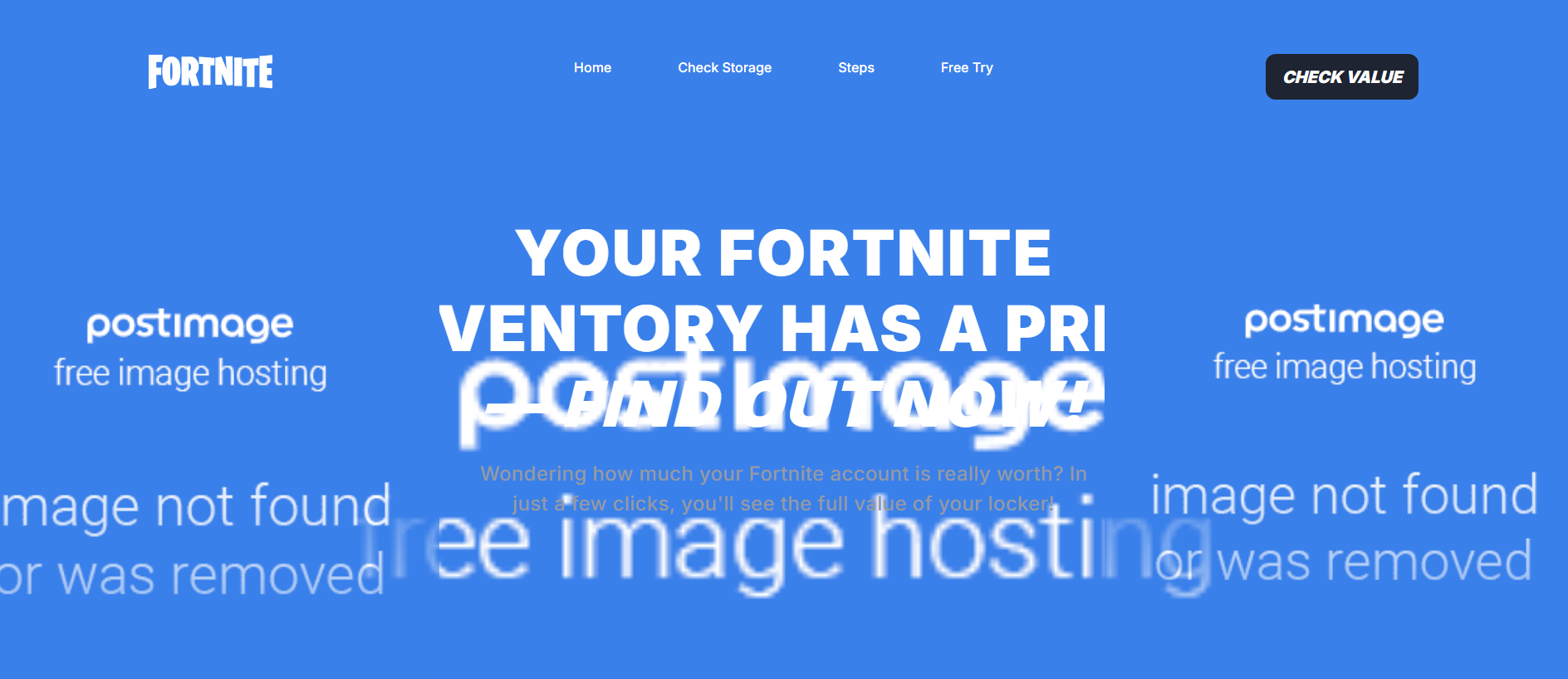 Screenshot of fortcheck.click