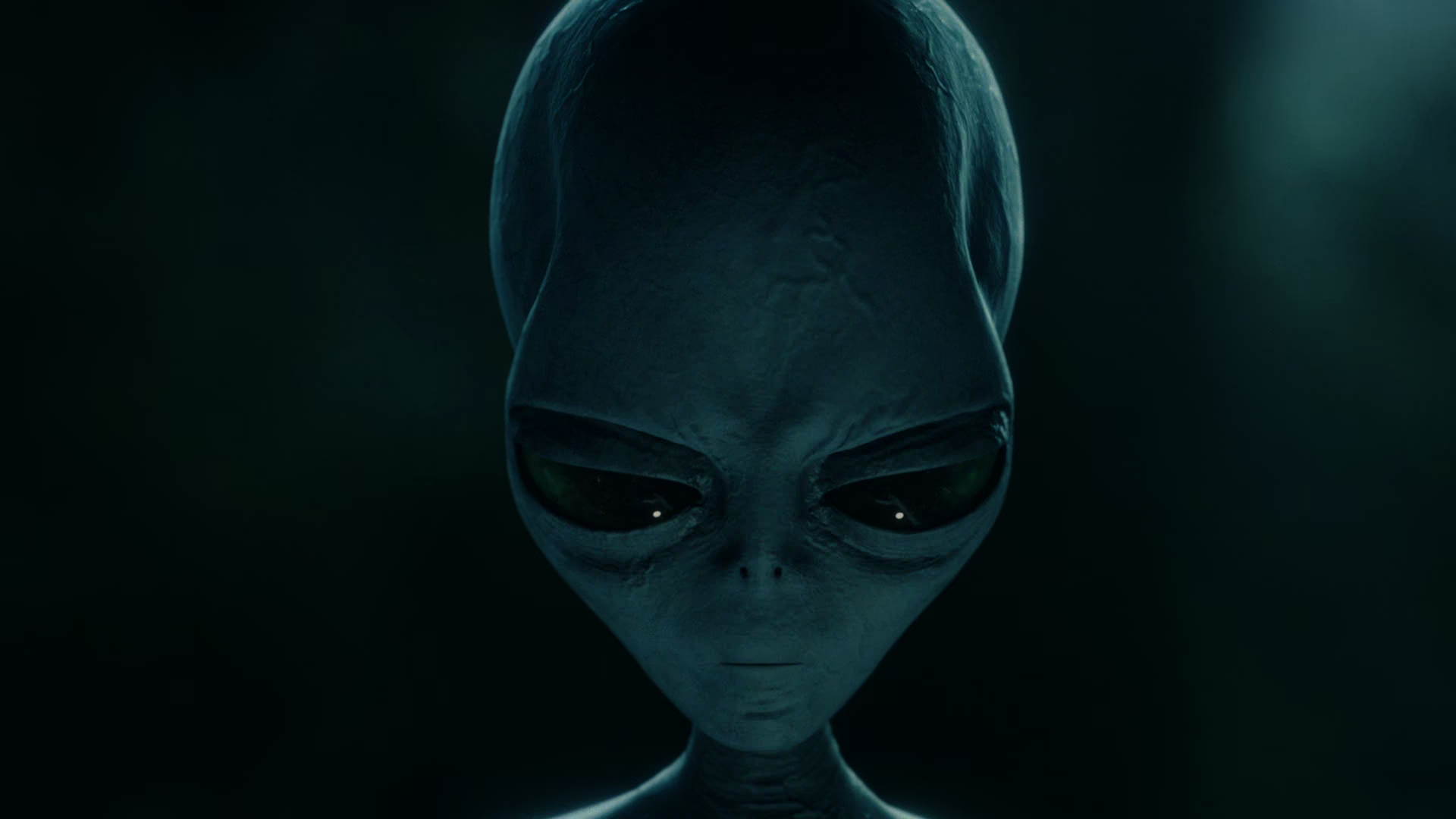 Movie cover image