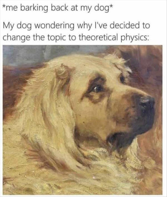 dog