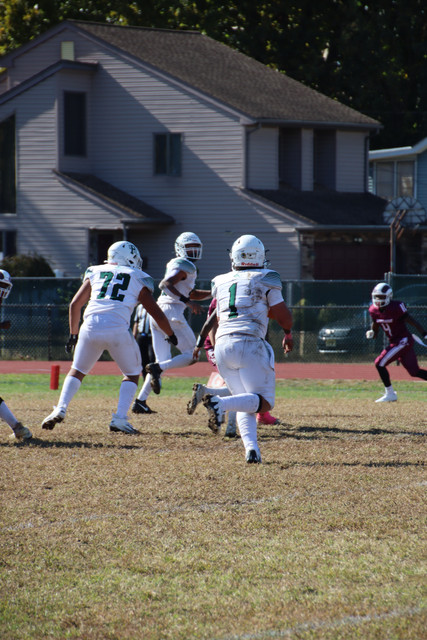 IMG-3529
