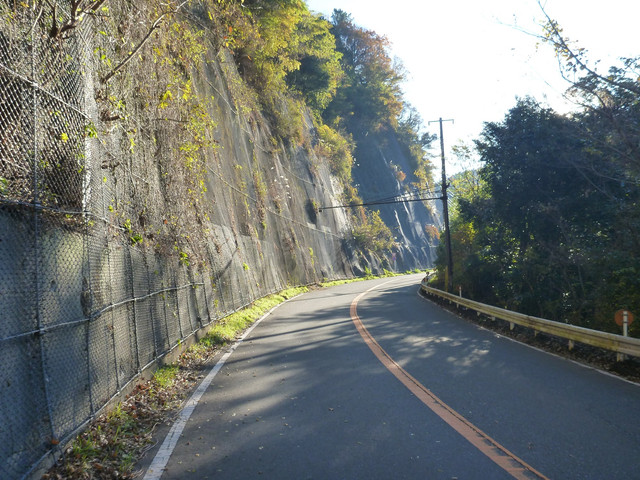 P1130525