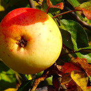 PA010005