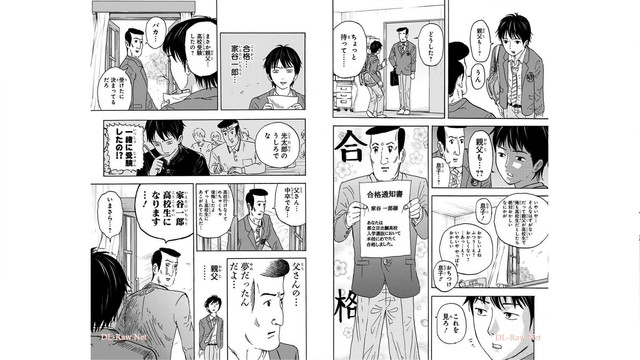 DLRAW-NET-06