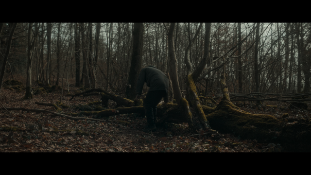 mpv-shot0008