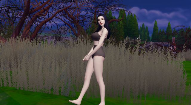 daisy1