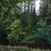 IMG-20220824-201053