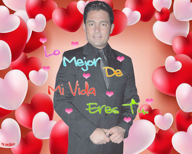 mivida110520