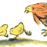 333