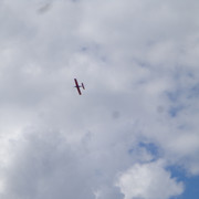 DSC00516