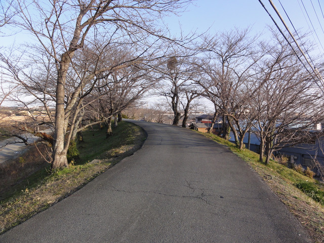 2011-03-05-007