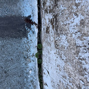 IMG-7120