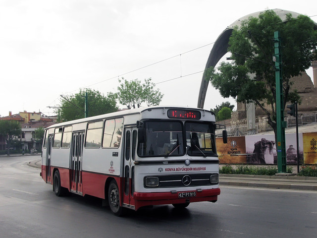 IMG-6310