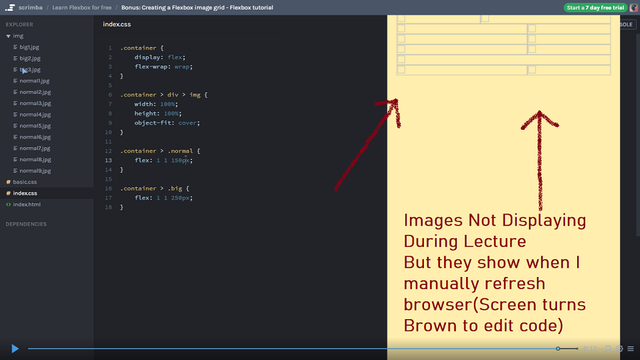 Images are not displaying in the mini Browser when lecture is Playing. At First a small thumbnail was visible but after manual mini browser refresh & playing the lecture again results in border lines.
