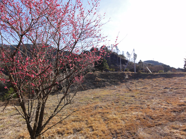 2011-03-05-150