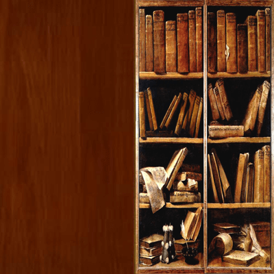 libreriabur1.png