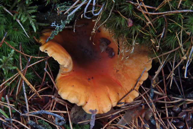 PA010147