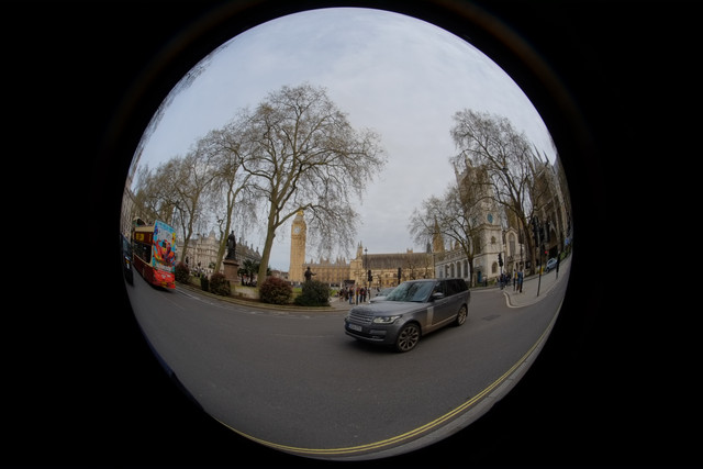 DSCF8848.jpg