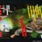 IMG-7818