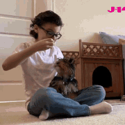 fetch-raphael-alejandro