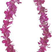 028b64eea344
