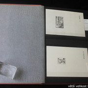 IMG-2351