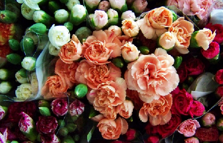 Flower-Shop-Toronto