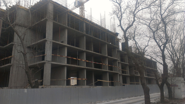 IMAG0082.jpg