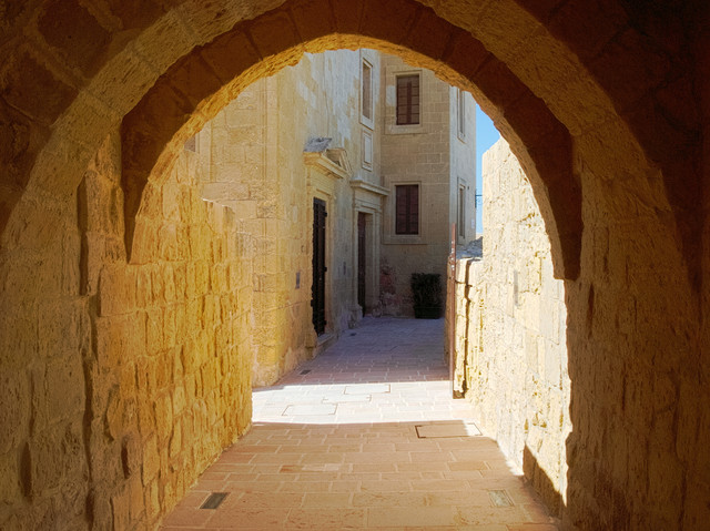 OLYMPUS-DIGITAL-CAMERA