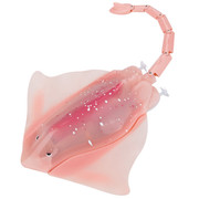 R11-Pink-7