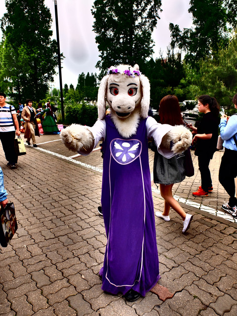 DSCF9178.jpg