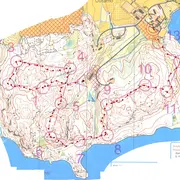rganim1684415975