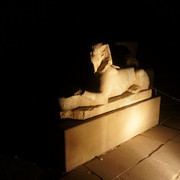 DSC00733