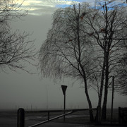 IMGP0027