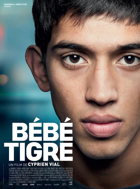 Bebetigre.jpg