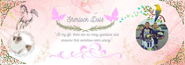 Sherlock-s-Marius-banner