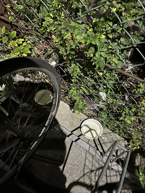 IMG-7712