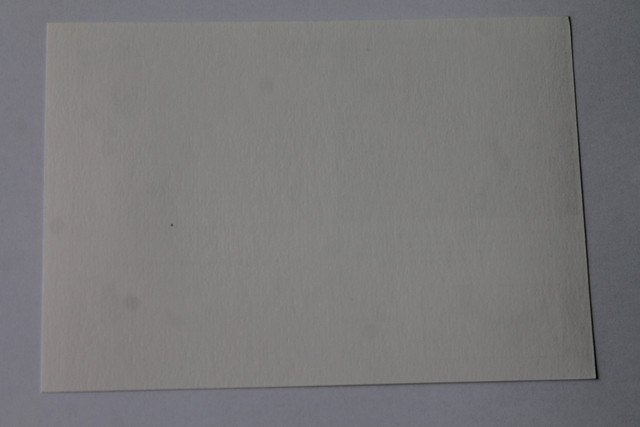 IMG-4989.jpg