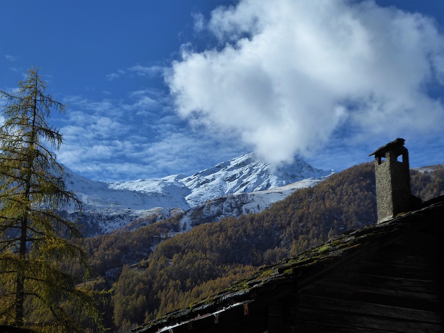 IMG-1874.jpg