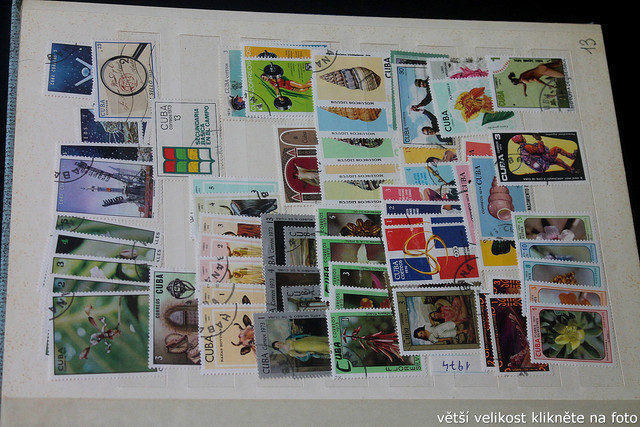 IMG-3502.jpg