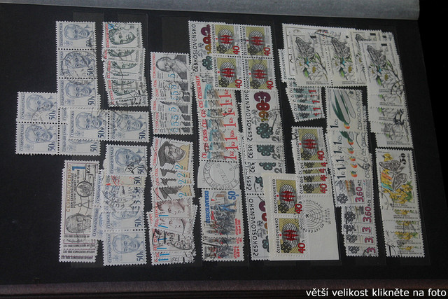 IMG-3065.jpg