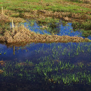 IMGP6574x1024